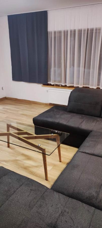 Villa U Skupniow Suche-Zakopane Поронин Экстерьер фото